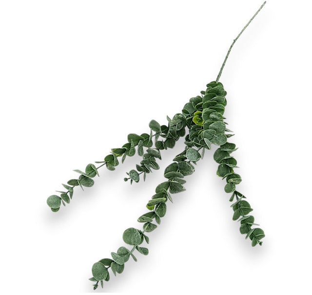 Fir eucalypt x5 90cm
