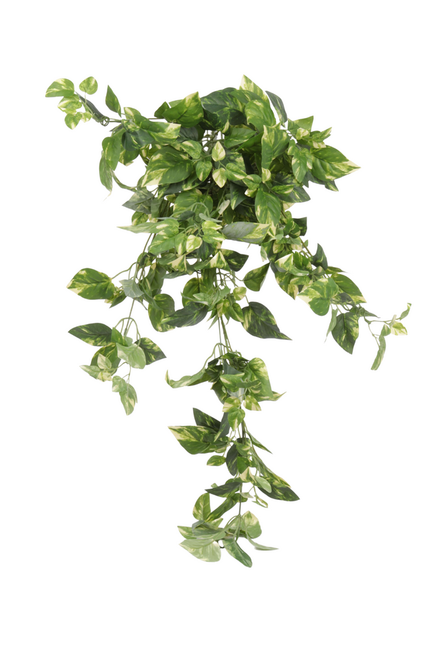 imagine produs Ghirlanda frunze 90cm