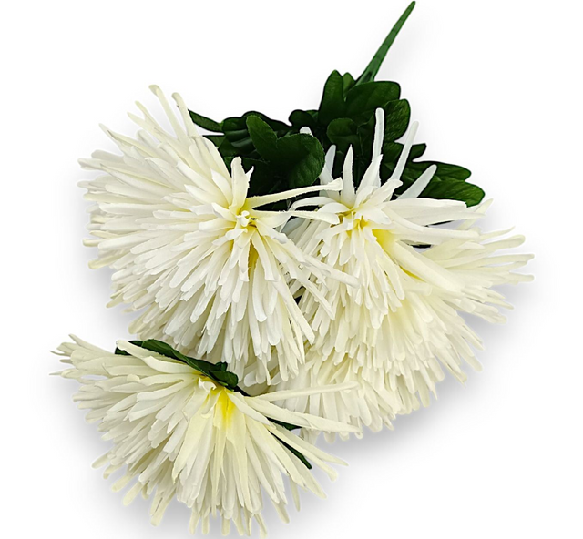 Buchet crizanteme x7 crem