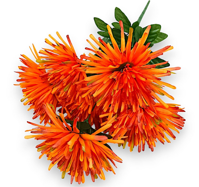 Buchet crizanteme x7 portocaliu