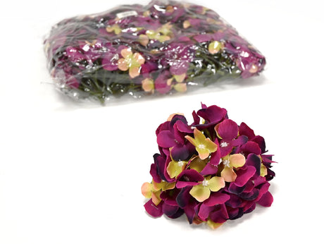 imagine produs Capete hortensie 15cm S/12 bur-verde