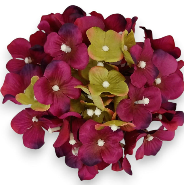 Capete hortensie 15cm bordeaux