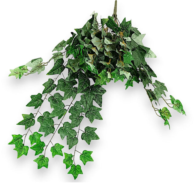 imagine produs Verdeata 80cm