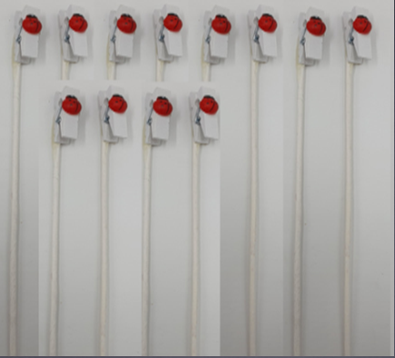 imagine produs Pick bubureze cu clame s/12