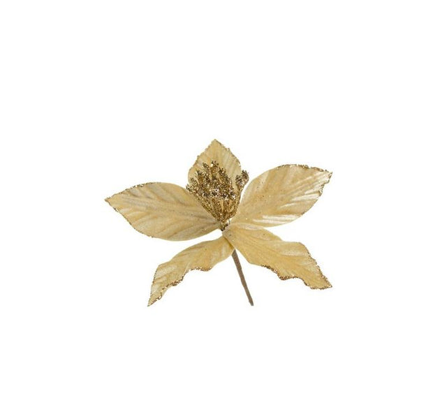 imagine produs Pick poisentia 15cm