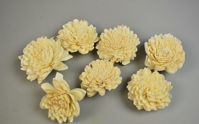 imagine produs Capete ochiul boului ming 4cm
