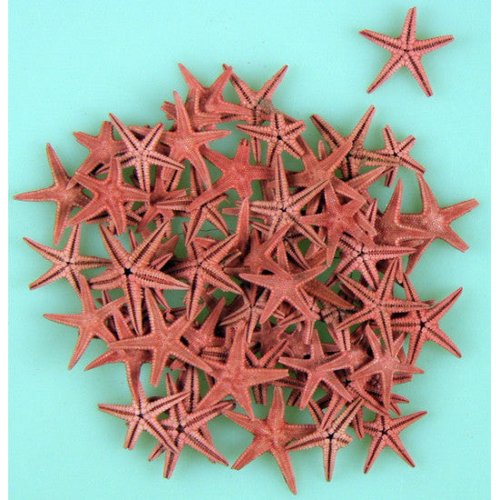 Stele de mare 1,25cm rosu