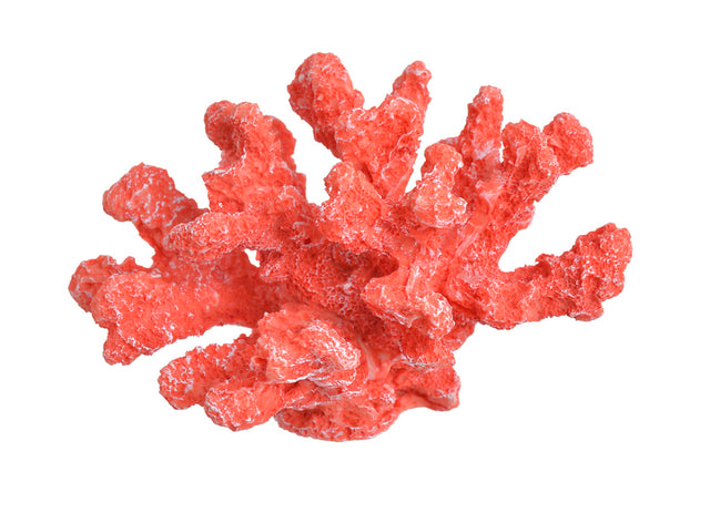 imagine produs Coral polirezin rosu