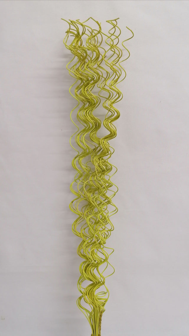 Fir curly S/30 mar verde