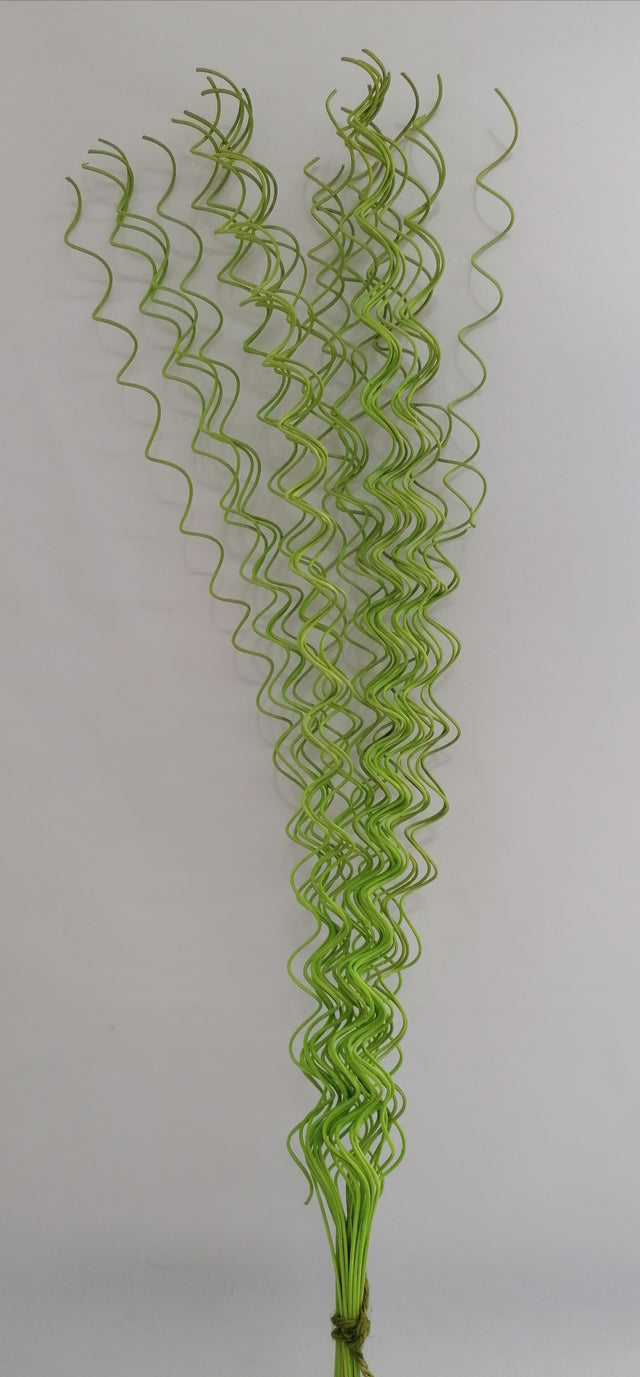 Fir curly S/30 verde deschis