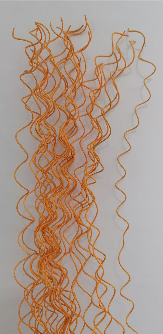 Fir curly S/30 portocaliu