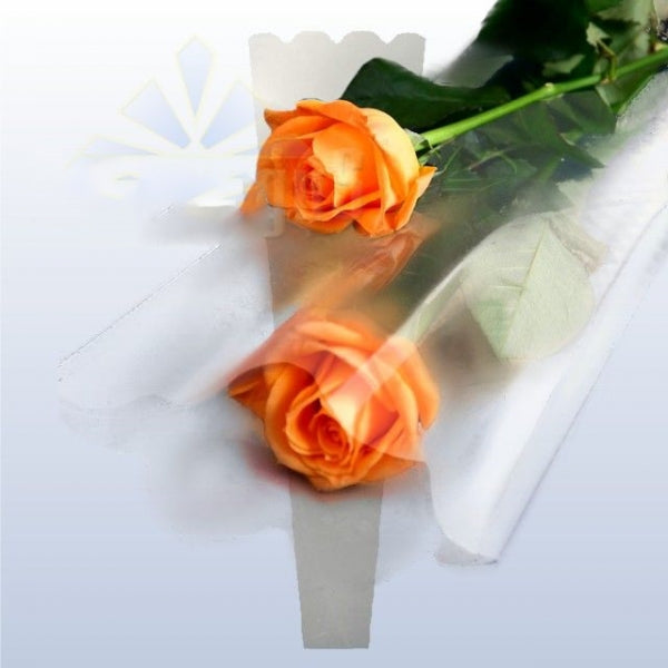 imagine produs Ambalaj CC1 20cm