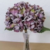 FIR HORTENSIA x3 33CM MOV