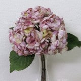 FIR HORTENSIA x3 33CM ROZ