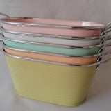 GALEATA OVAL 10.5CM MINT