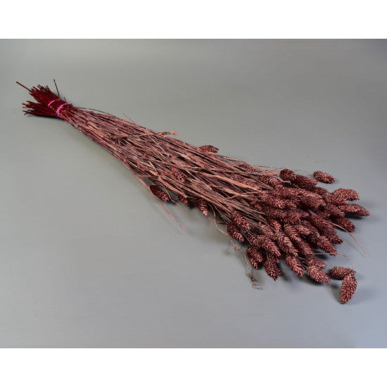 Tallaris 100gr brumat bordeaux