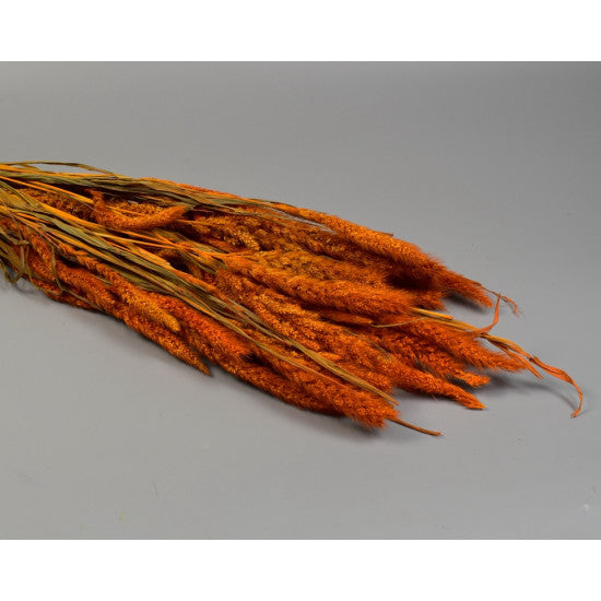 Mohor 100g portocaliu