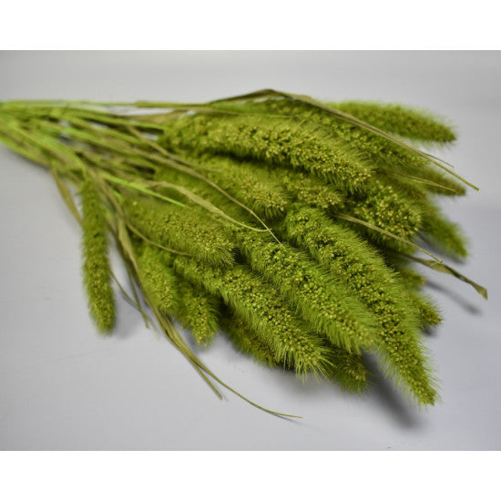 Mohor 100gr verde deschis