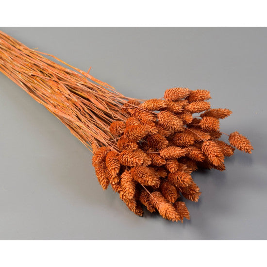 Tallaris 100g brumat portocaliu