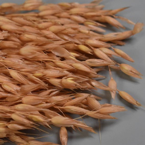 Ovaz 150g inalbit piersica