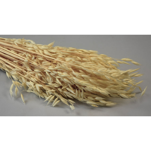 Ovaz 150gr inalbit