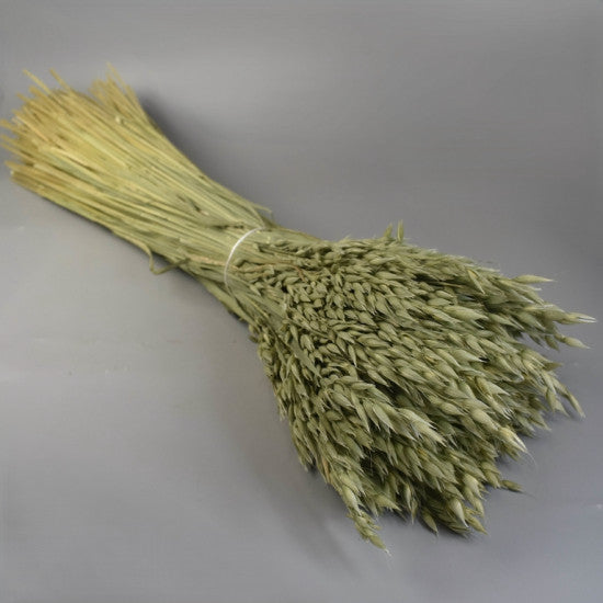 Ovaz 500g natur