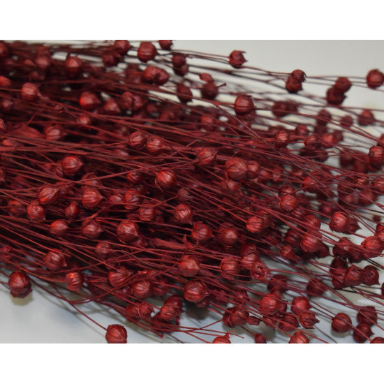 In 100g bordeaux