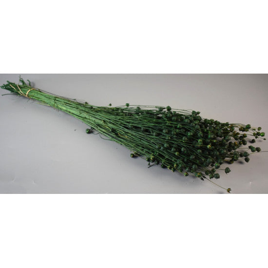 In 100g verde inchis