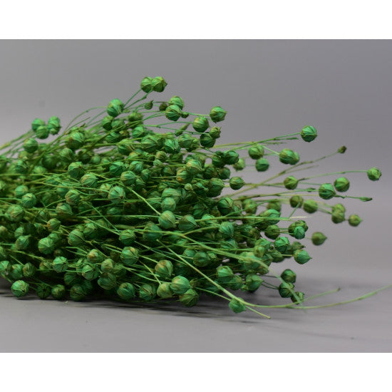 In 100g verde deschis