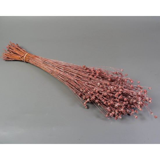 In 100gr cu chiciura roz