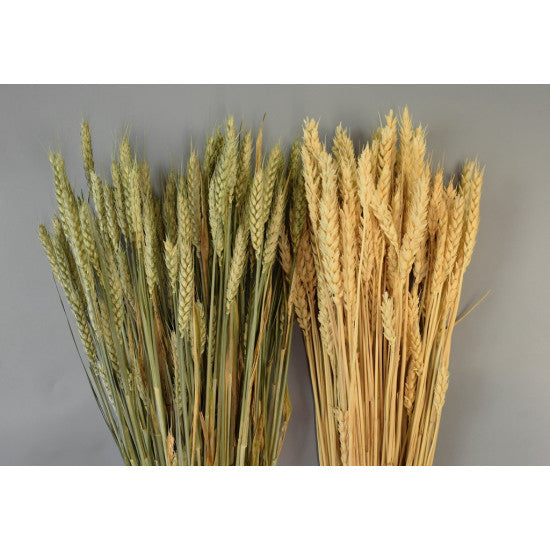 Grau fara arifte 150g natur