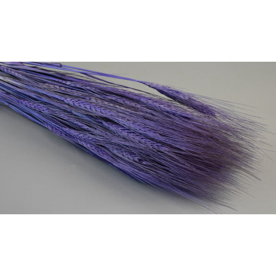 Grau cu spic lung 150g inalbit mov