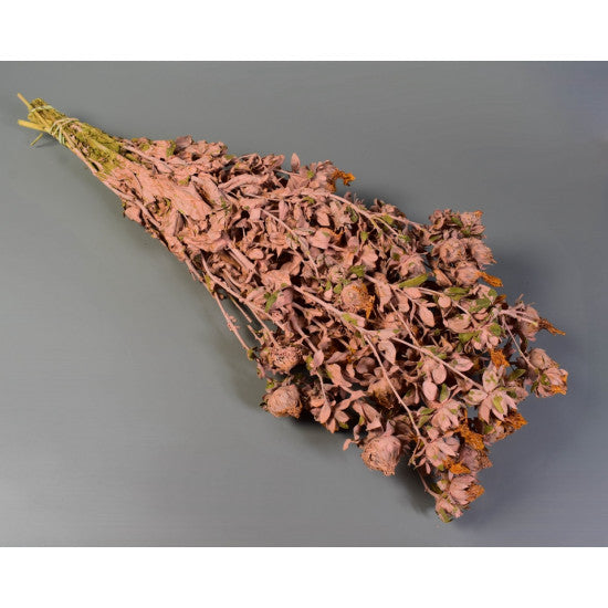 Sofran 150gr vopsit somon