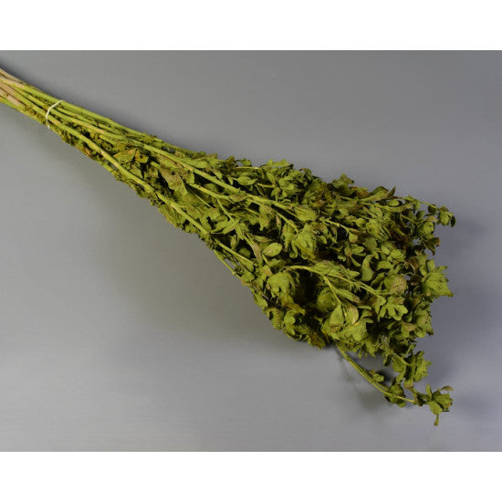 Sofran 150g vopsit verde oliv
