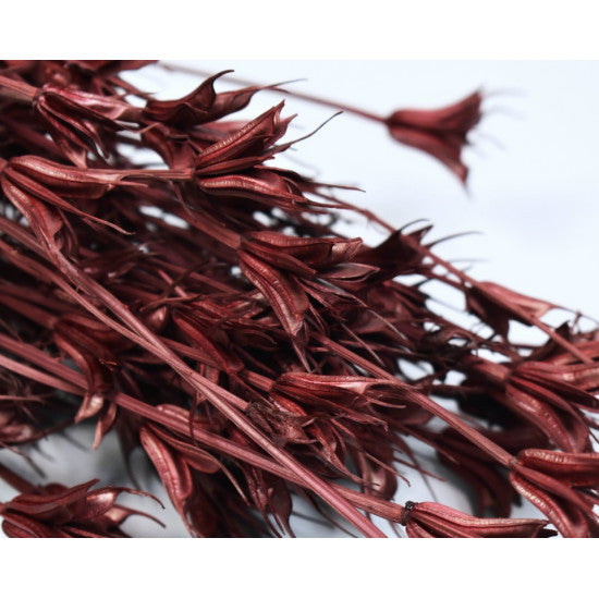 Nigella orientale 100g bordeaux