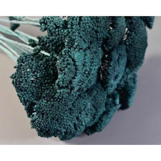 Achillea preparat brumat turcoaz