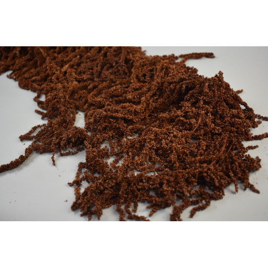 Amaranthus caudatus preparat maro 2x0.2kg