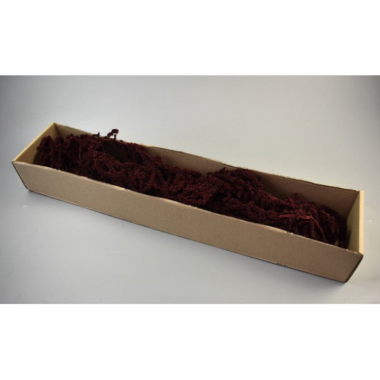 Amaranthus caudatus prep. bordeaux 2x0.2kg