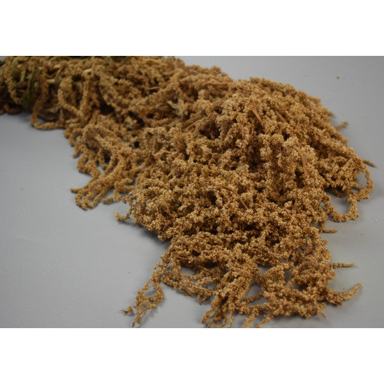 Amaranthus caudatus prep.natur 2x0.2kg