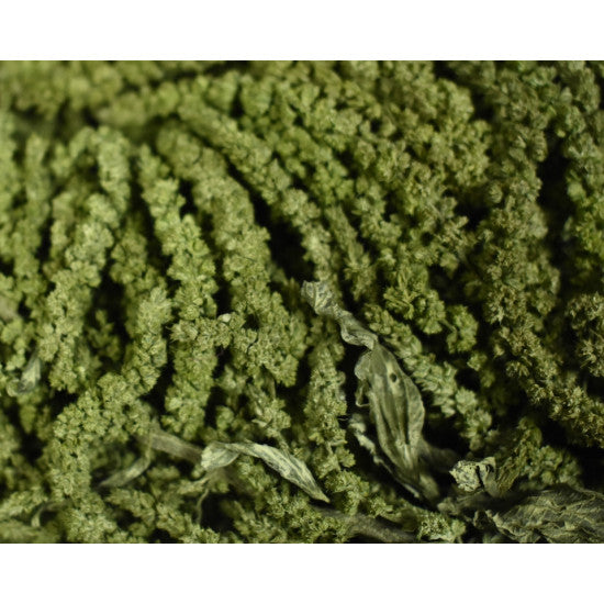 Amaranthus caudatus preparat brumat verde deschis 2x0,2kg