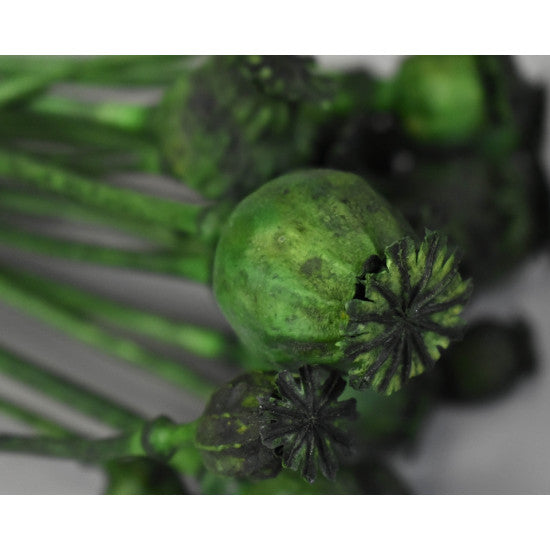 Mac tratat mini verde inchis