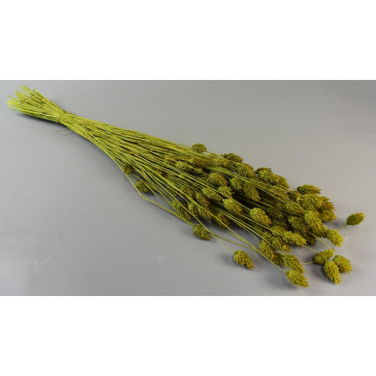 Tallaris 100g verde deschis