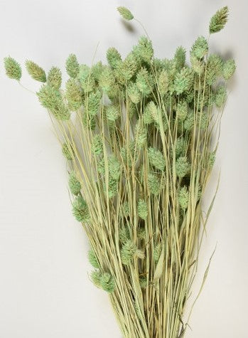 imagine produs Tallaris inalbit