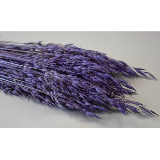 Ovaz 150gr inalbit mov
