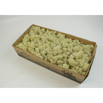 imagine produs Muschi islanda mix natur