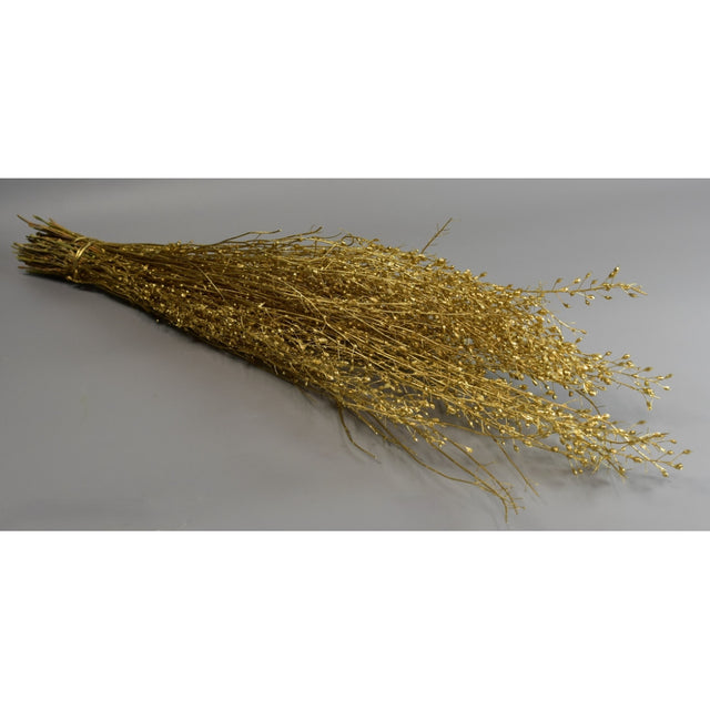 Lepidium atraxa 100gr auriu