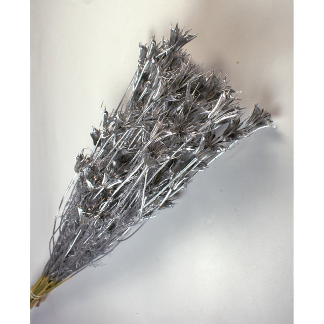 Nigella 100gr argintiu