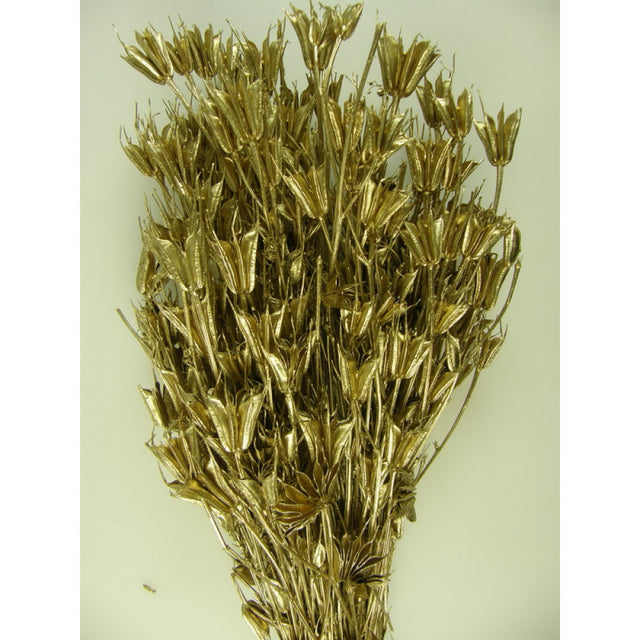 Nigella 100gr auriu