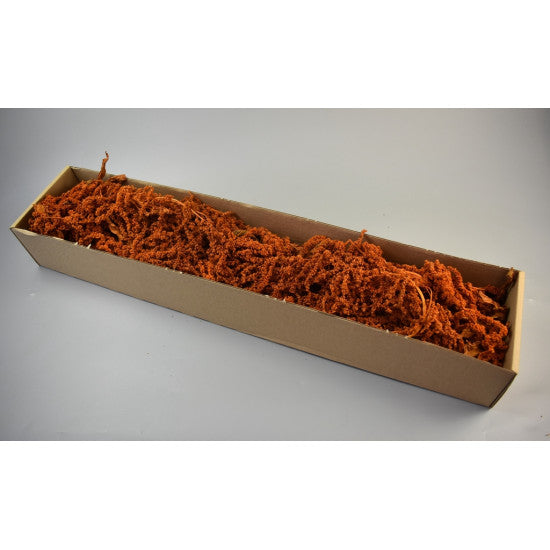 Amaranthus caudatus prep. portocaliu