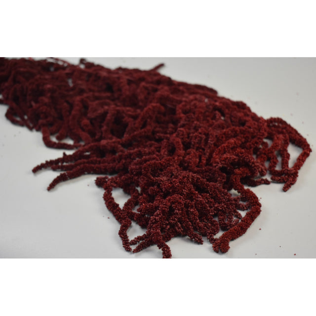 Amaranthus caudatus prep. bordeaux